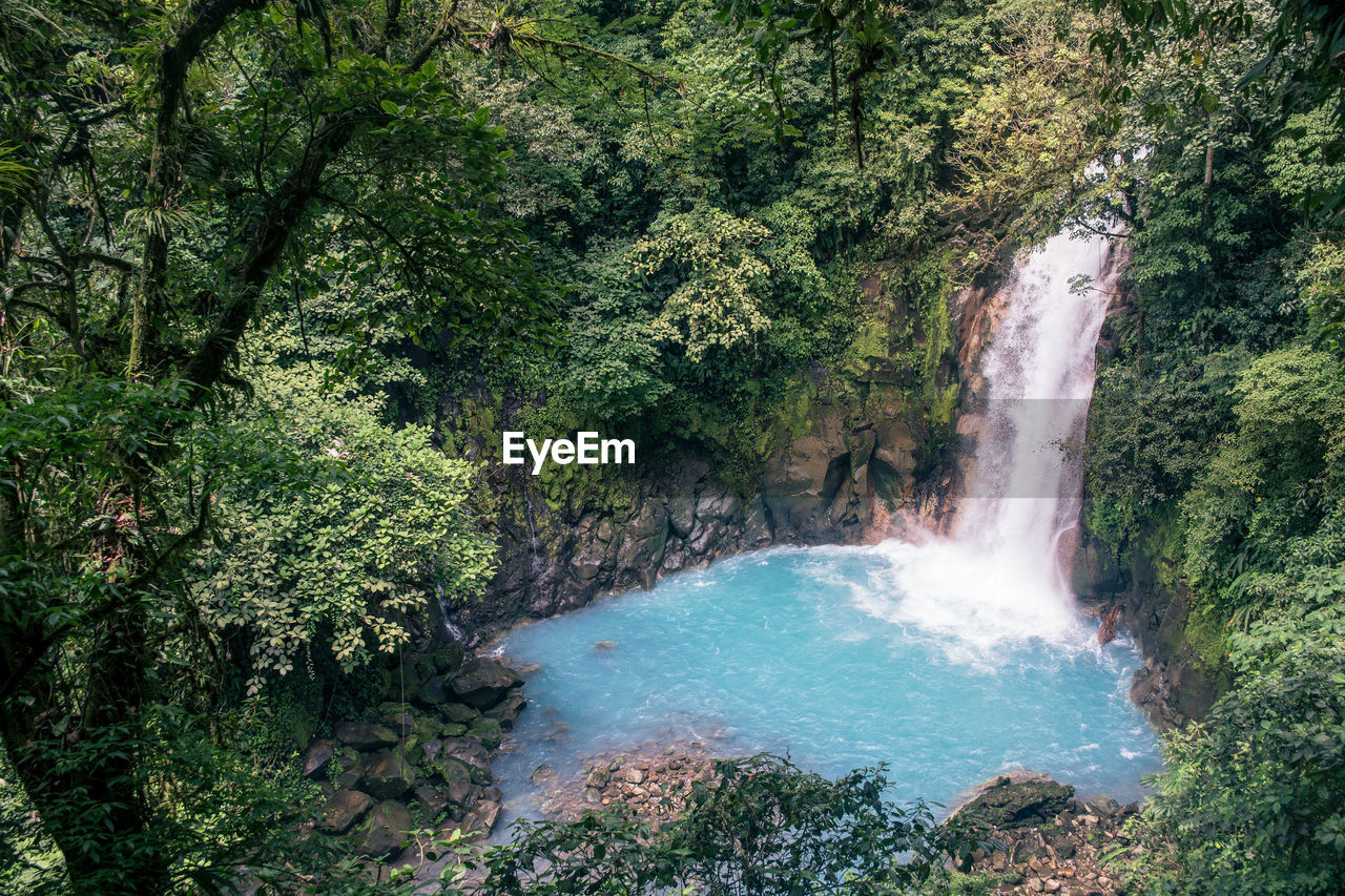 Waterfall in jungle