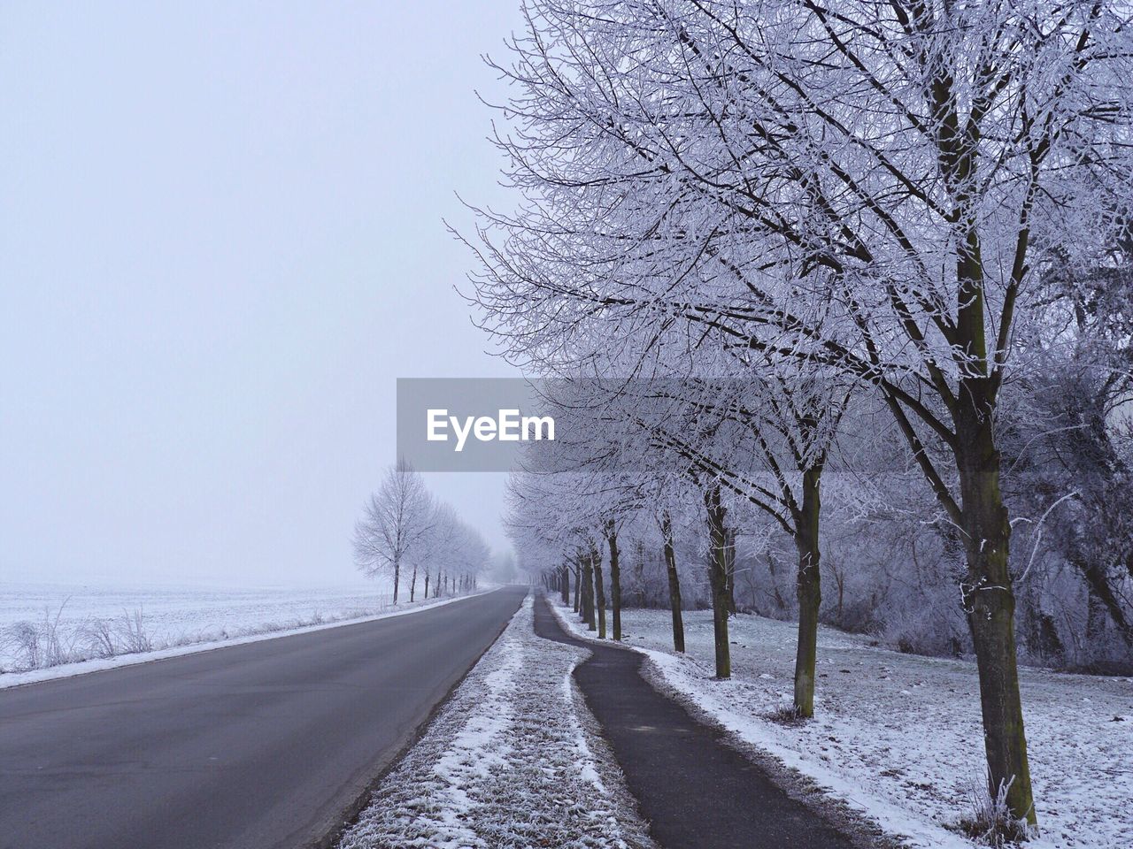 Road amidst trees against sky during winter