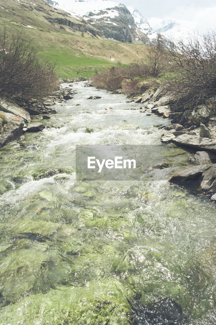 RIVER FLOWING THROUGH FOREST