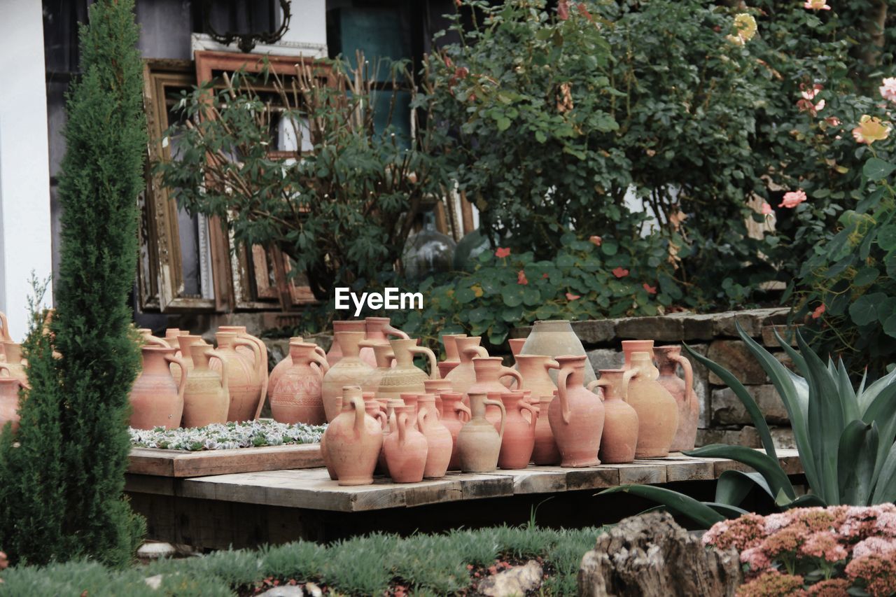 View of pot and plants in row