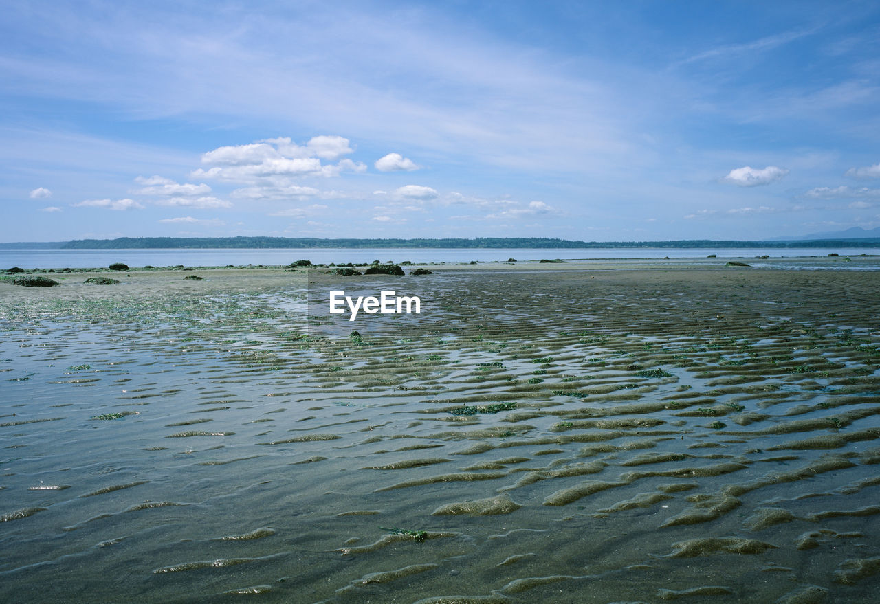 Scenic view of beach against sky