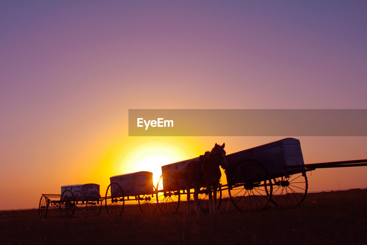 Silhouette horse by carts against sky during sunset