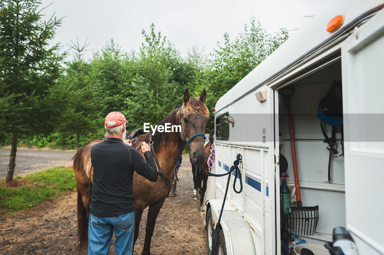 Senior man touching horse tied to horse trailer on road