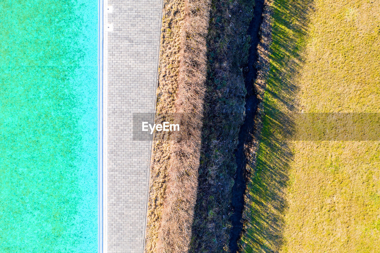 HIGH ANGLE VIEW OF PLANTS ON BEACH