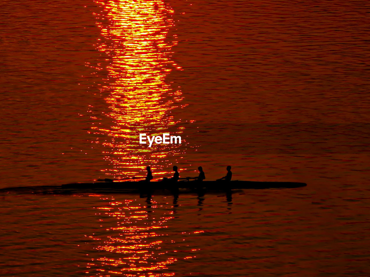 Rowing quartet and sunset