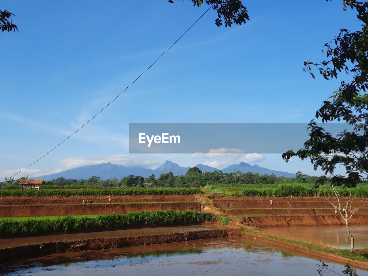 SCENIC VIEW OF AGRICULTURAL LANDSCAPE AGAINST SKY