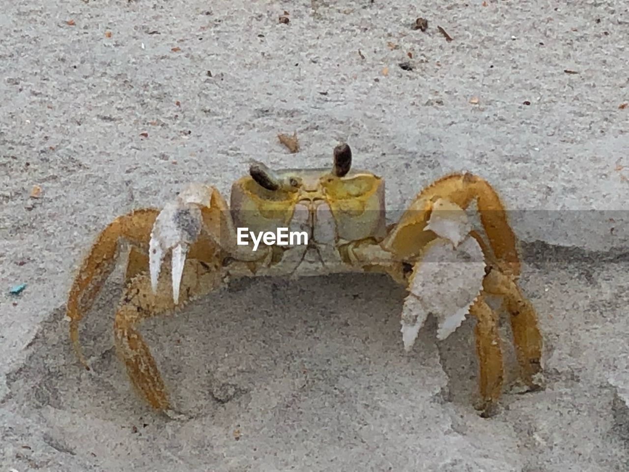 HIGH ANGLE VIEW OF HUMAN LEG ON LAND