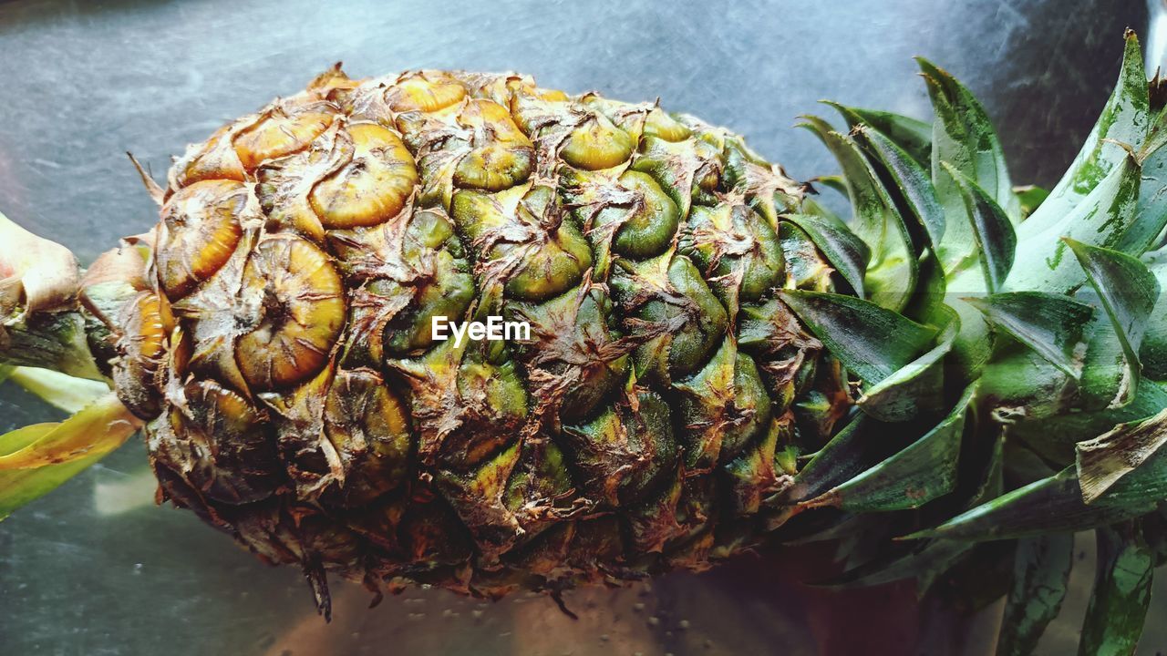 Close-up of pineapple
