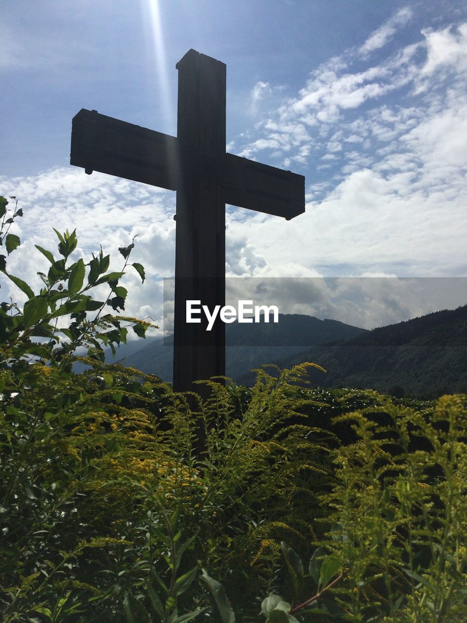 Low angle view of cross plants against sky