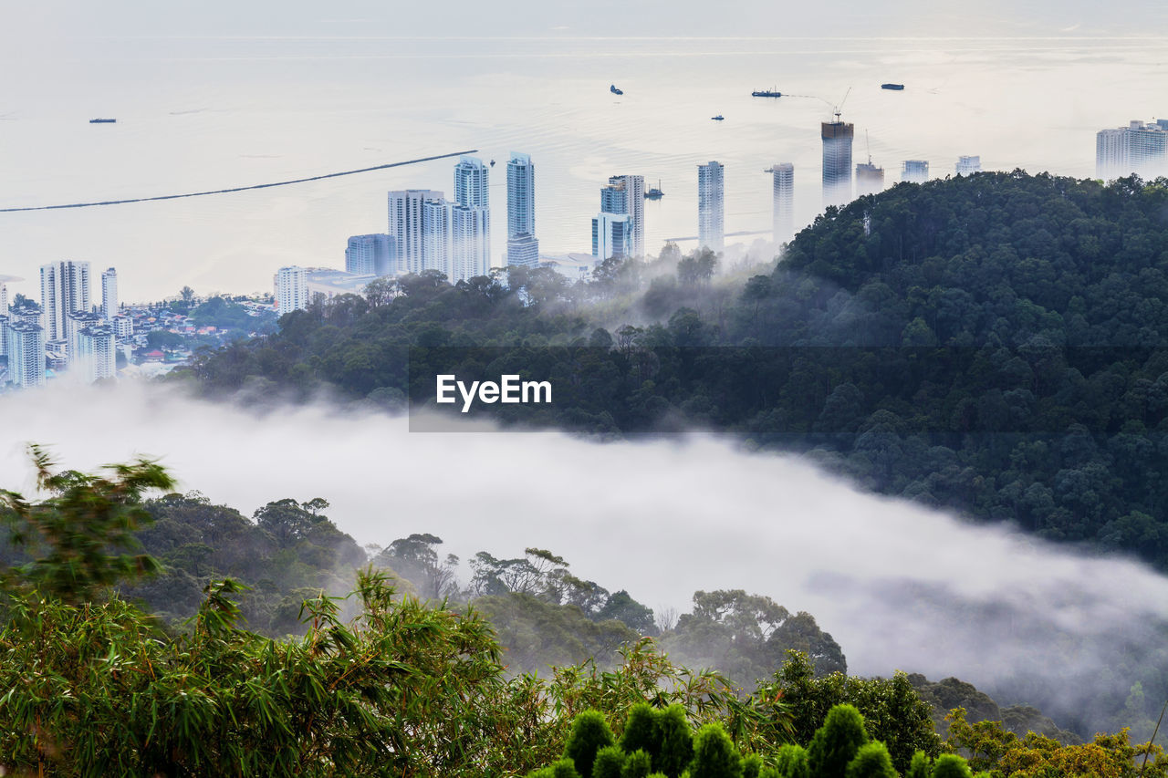 Scenic view of trees and cityscape against sky