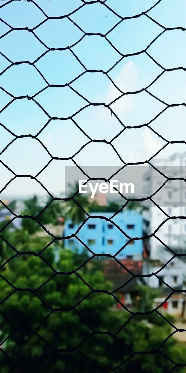 Close-up of plants seen through fence