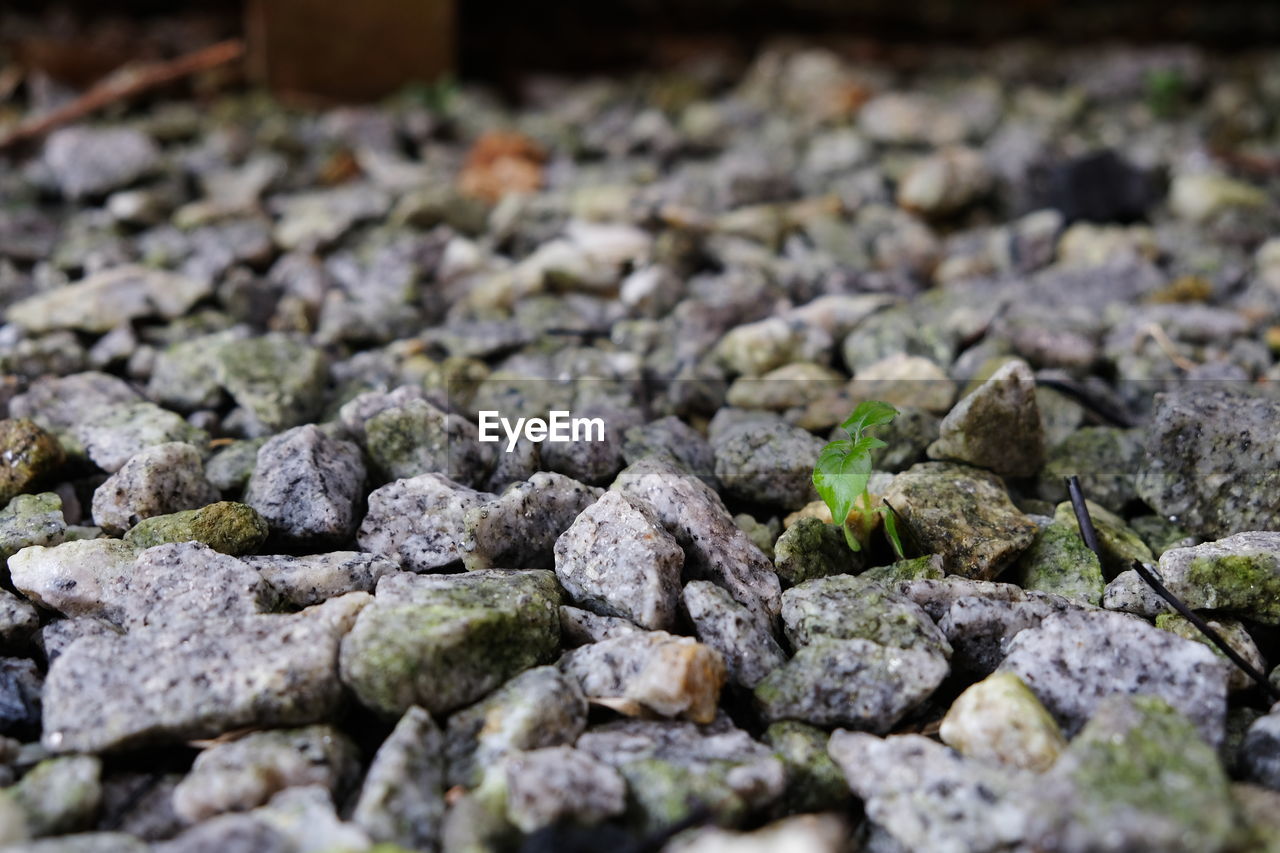 FULL FRAME SHOT OF ROCKS