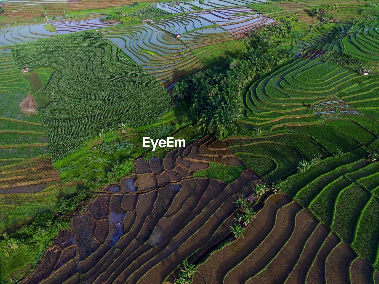 Aerial view beautiful morning view from indonesia about mountain and forest