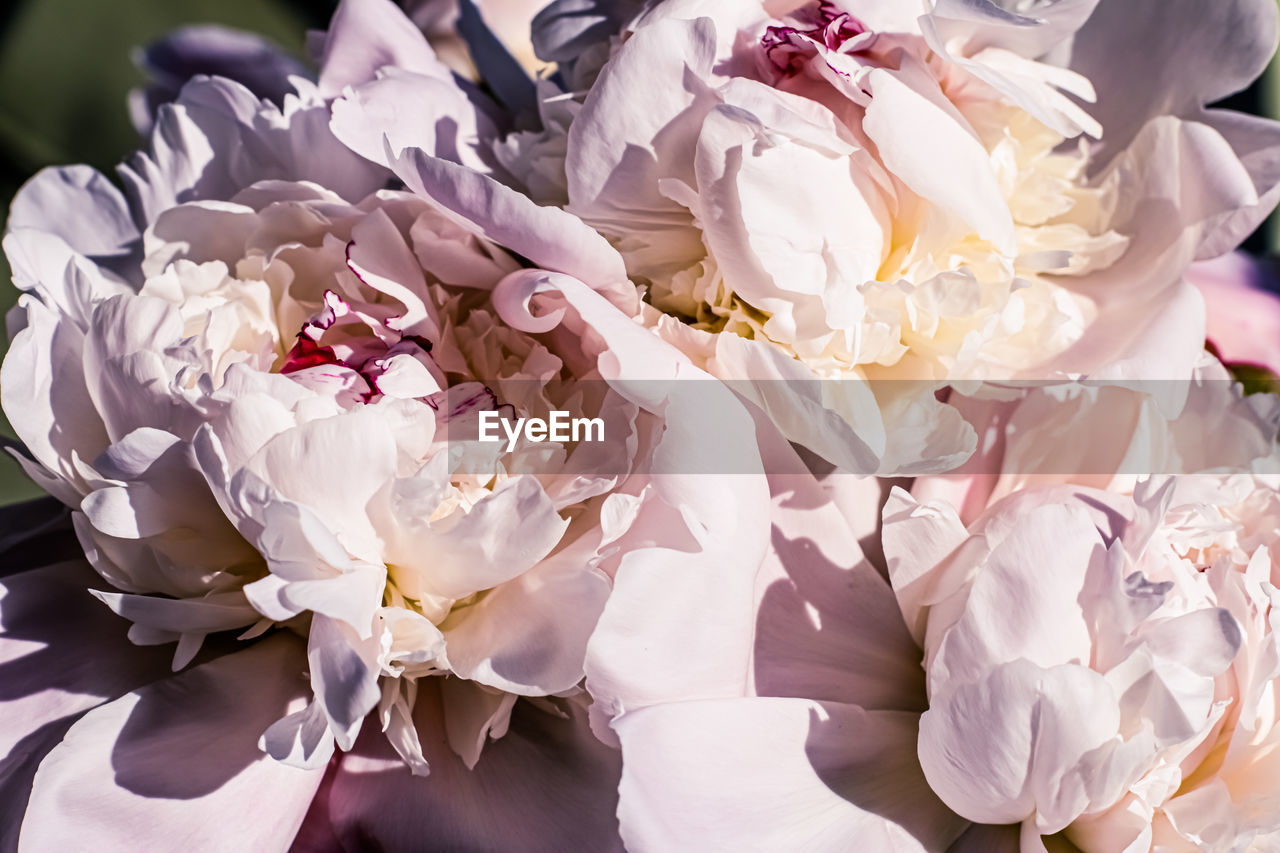 midsection of bride holding flowers