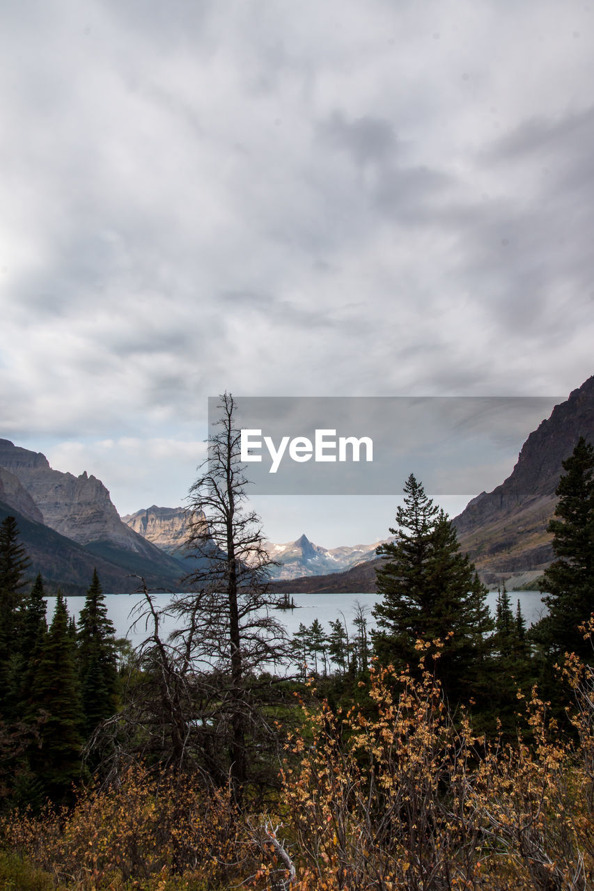 Scenic view of forest and mountains against sky