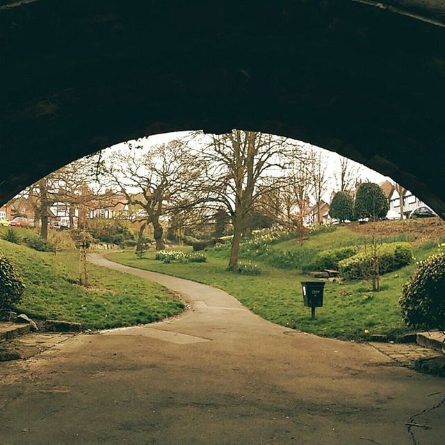 ROAD PASSING THROUGH A PARK