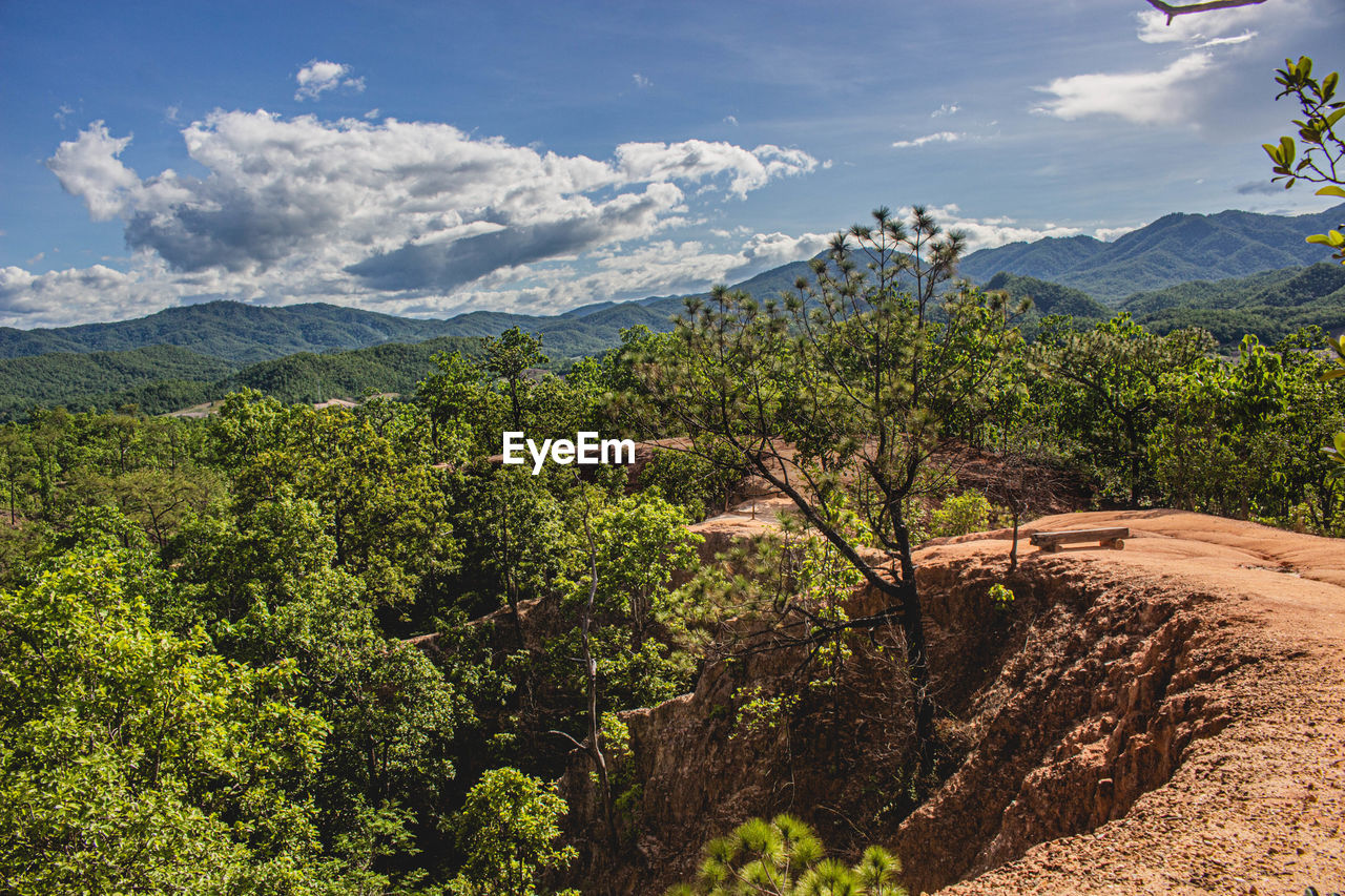 PLANTS AND TREES AGAINST MOUNTAINS