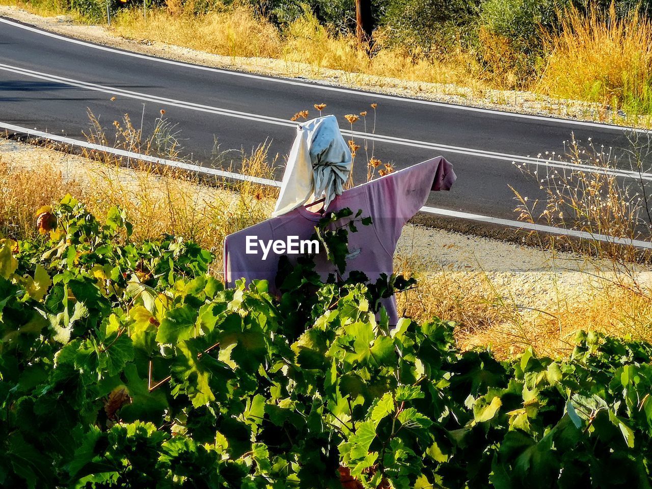 High angle view of scarecrow against road