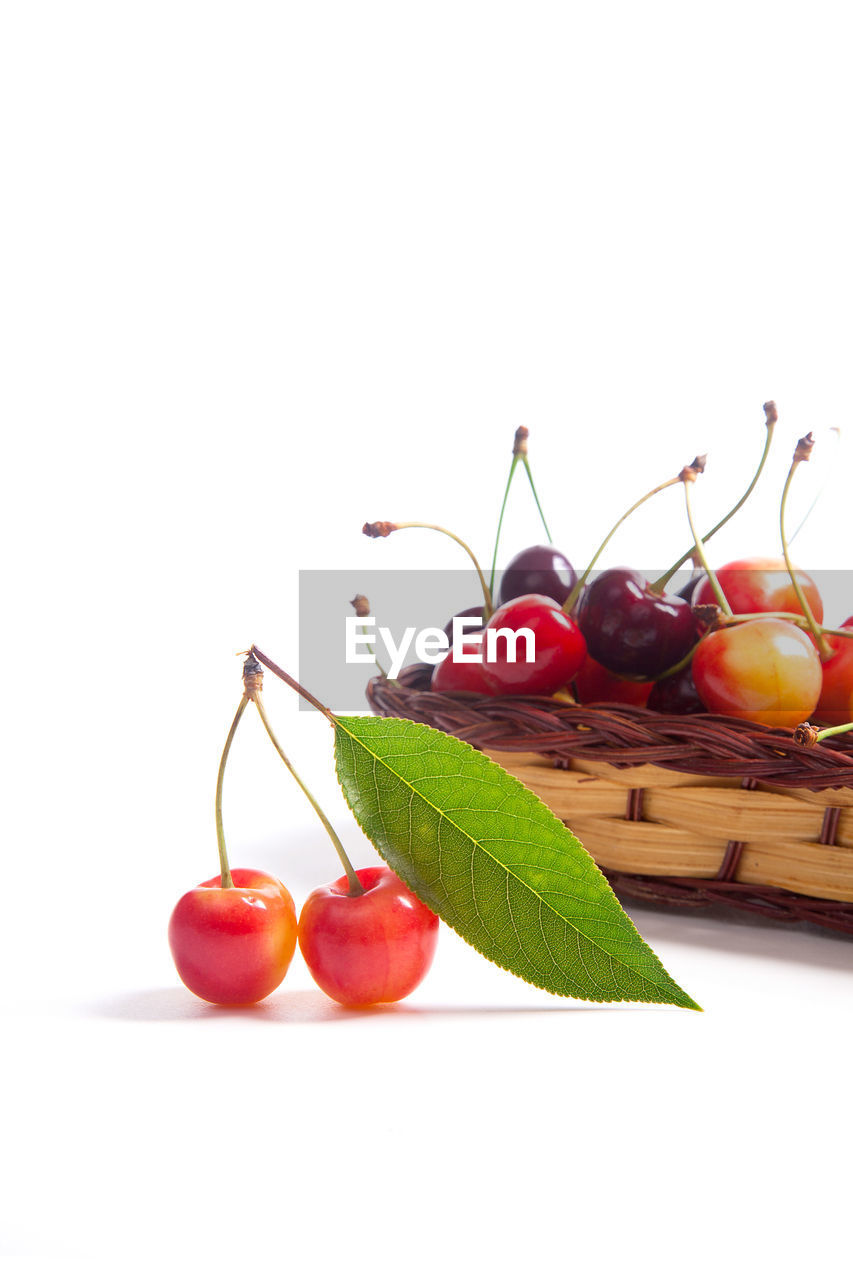 CLOSE-UP OF FRUITS ON TABLE