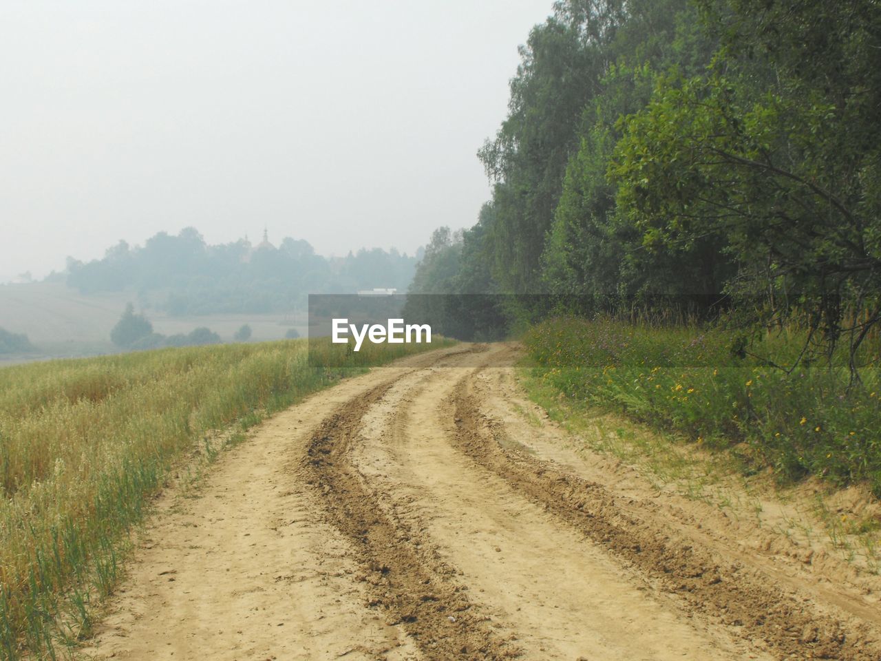 Road passing through field