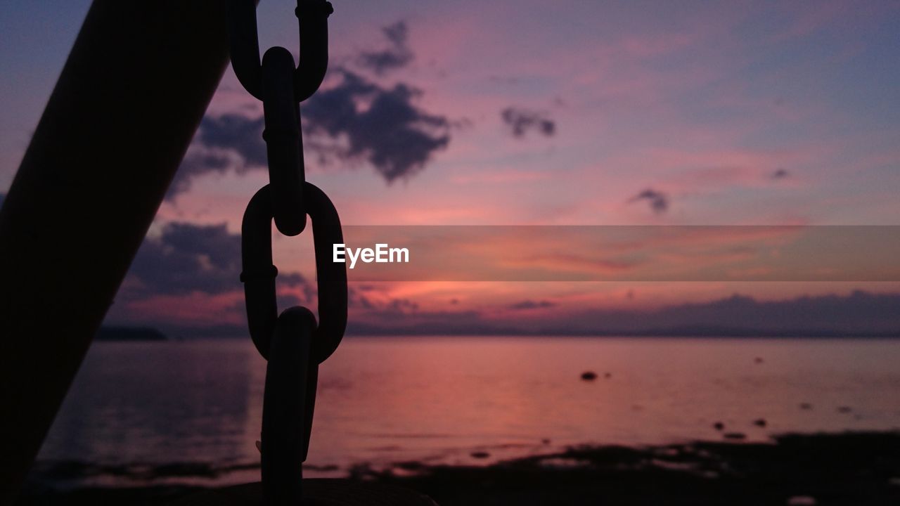 SILHOUETTE TREE ON BEACH DURING SUNSET