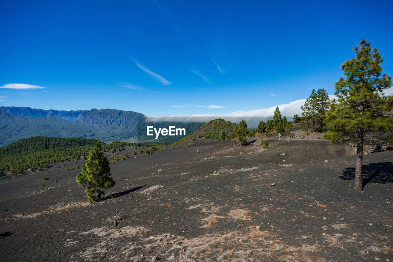 sky, environment, landscape, nature, mountain, scenics - nature, tree, land, plant, wilderness, beauty in nature, blue, travel, travel destinations, no people, road, mountain range, horizon, outdoors, pinaceae, natural environment, clear sky, tranquility, non-urban scene, cloud, tourism, forest, ridge, coniferous tree, morning, sunlight, tranquil scene, transportation, day, water, pine tree