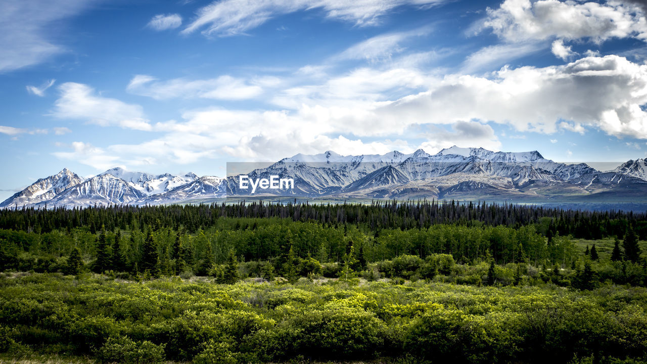 Trees on field by snowcapped mountains against sky