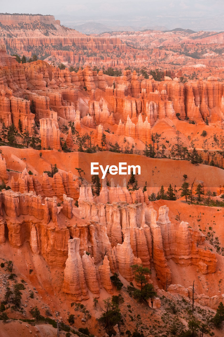 Bryce canyon, ut 

more on my website davidpriymak.com