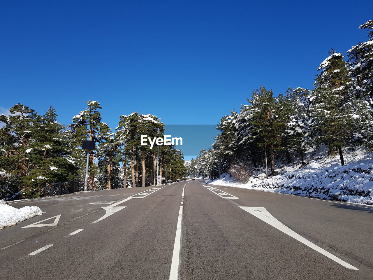 Road amidst trees against clear blue sky