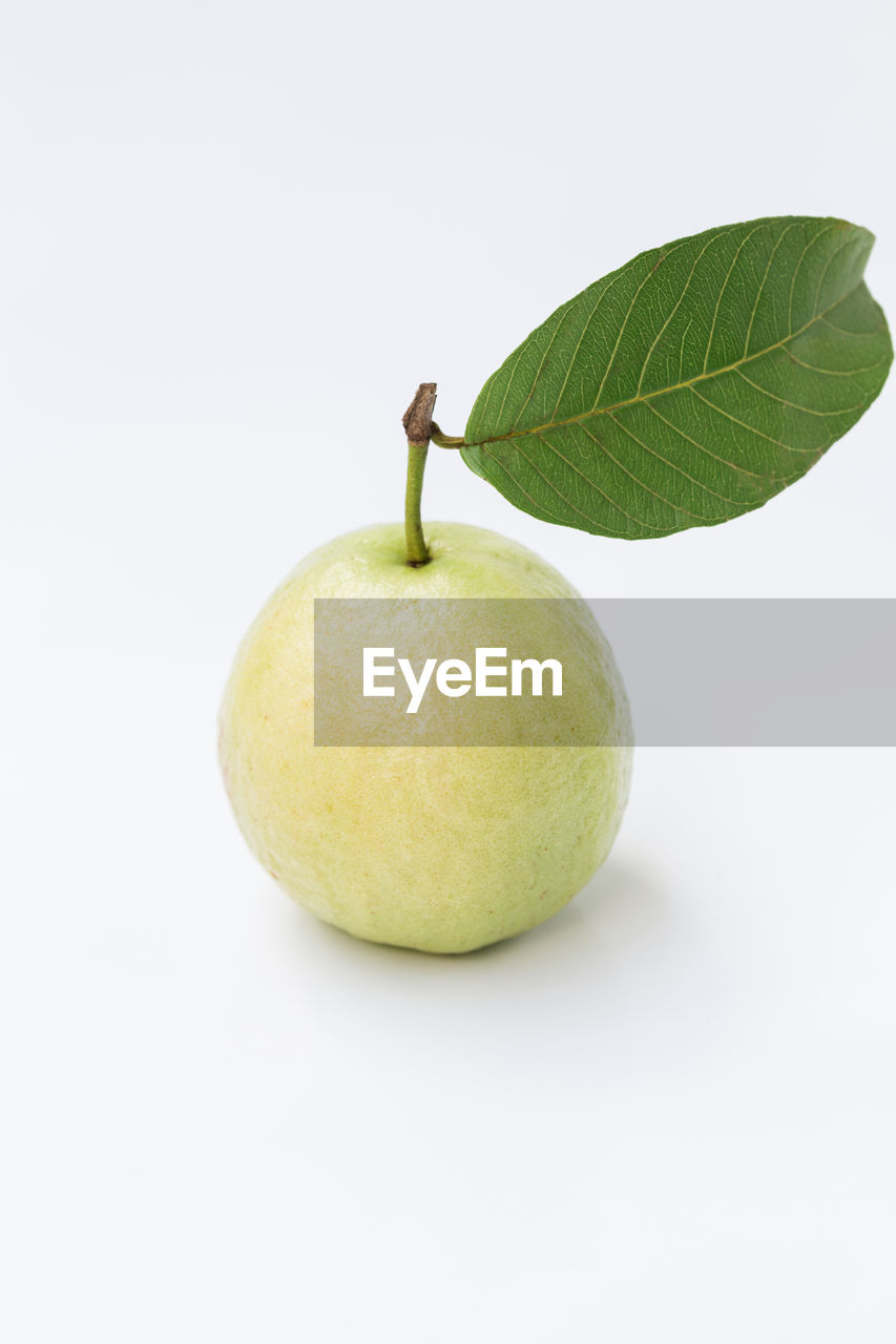 Fresh guava on the white background