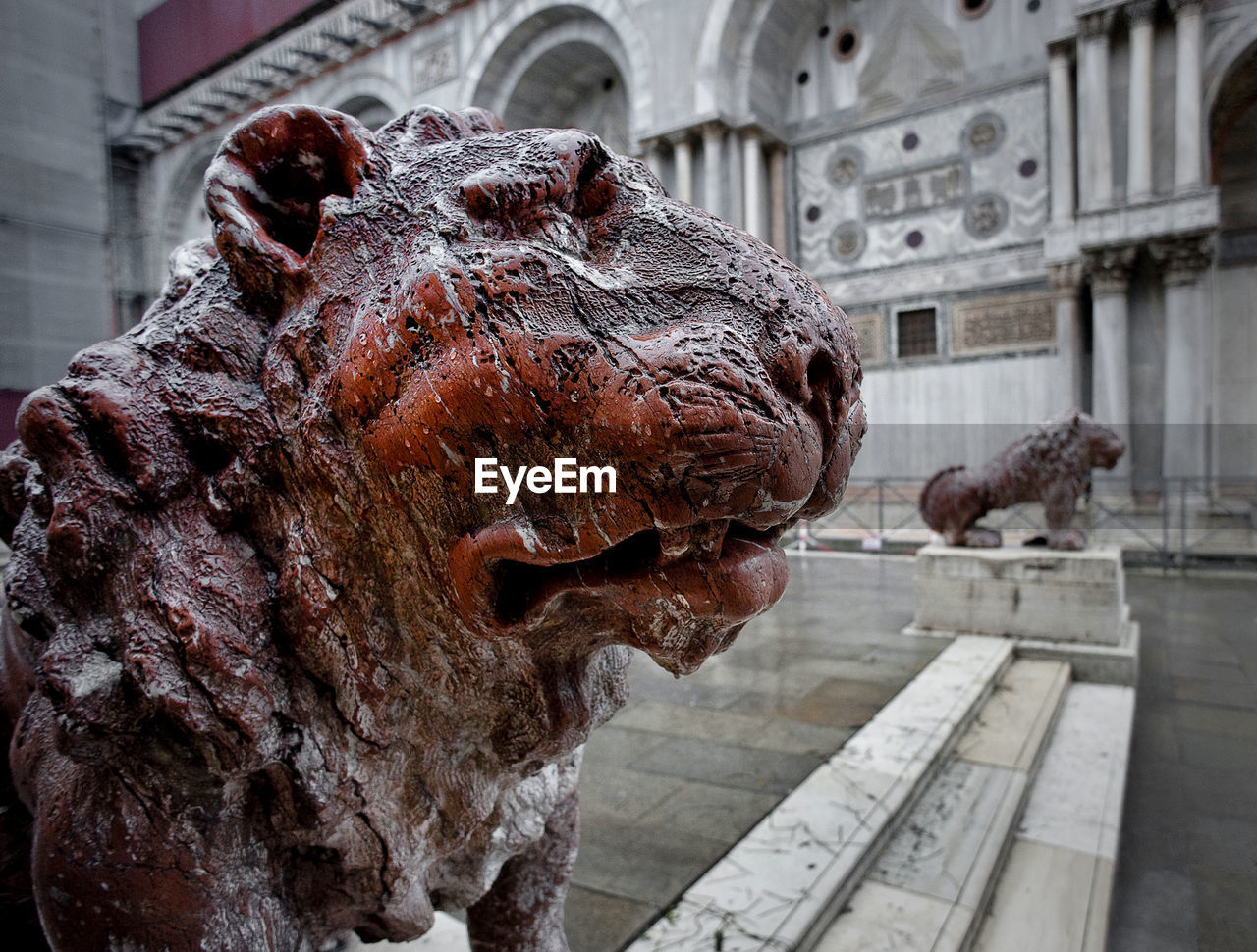 Close-up of old lion statue at piazza san marco