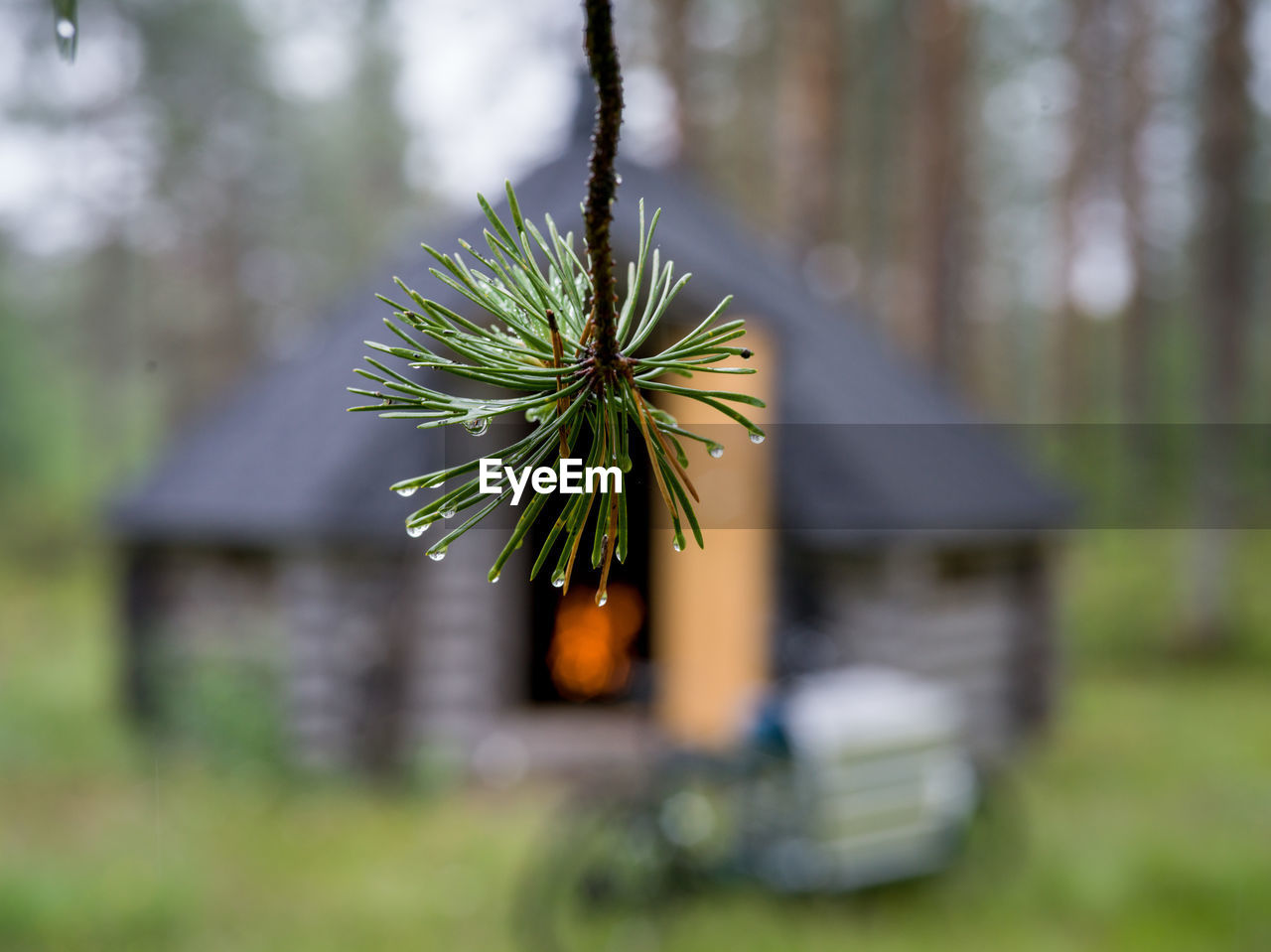 Water drops in foreground in front of small cabin and touring bicycle, finland