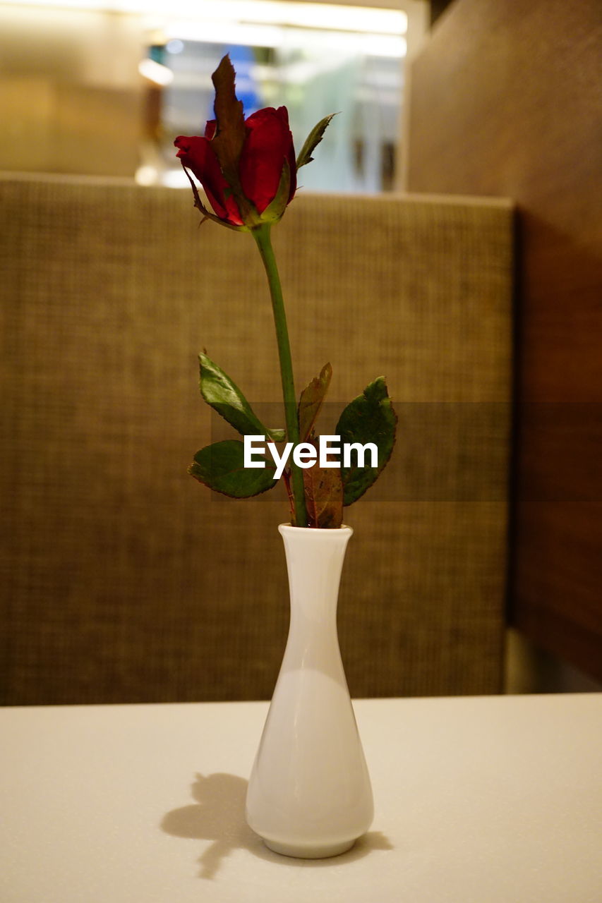 Close-up of flower vase on table at home