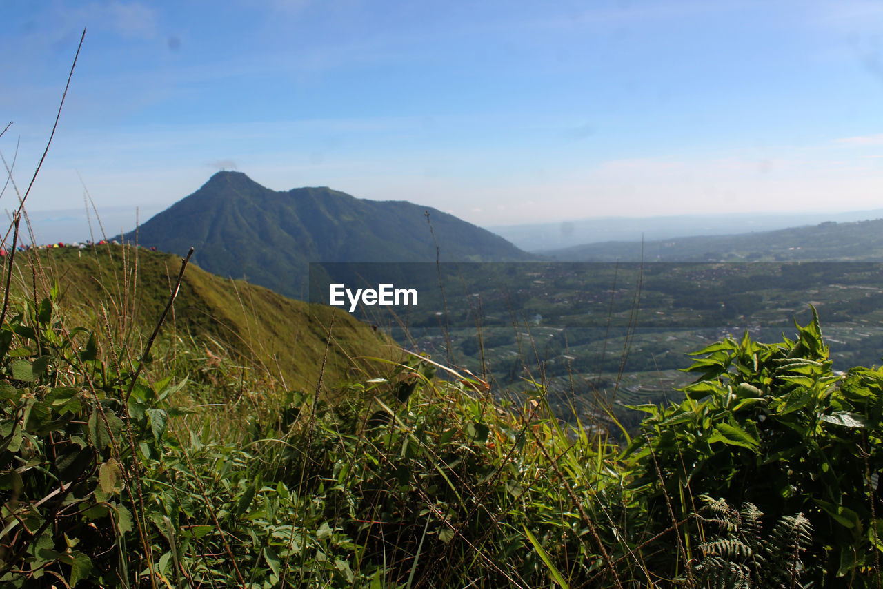 Nature mount andong magelang indonesia