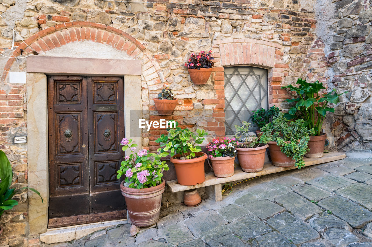 POTTED PLANT ON STONE WALL