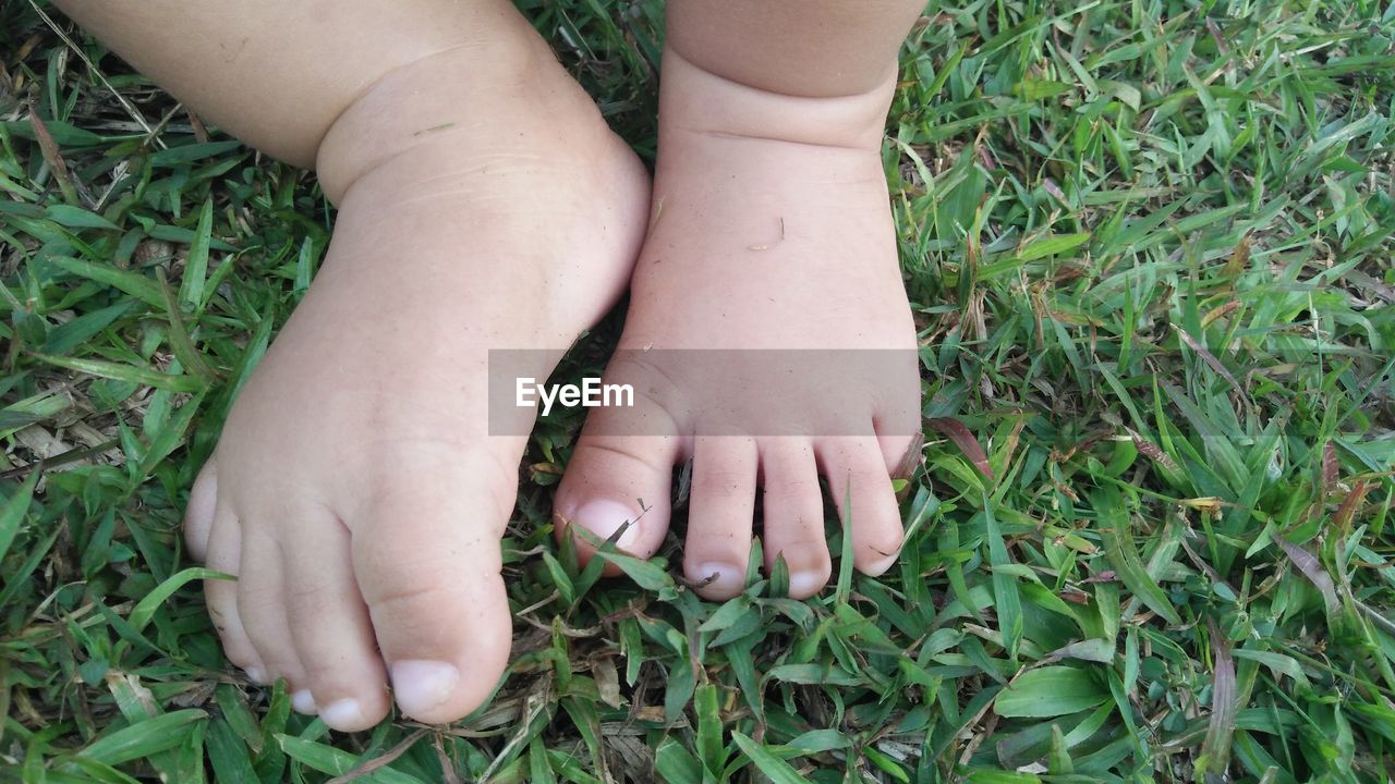 Baby feet in grass