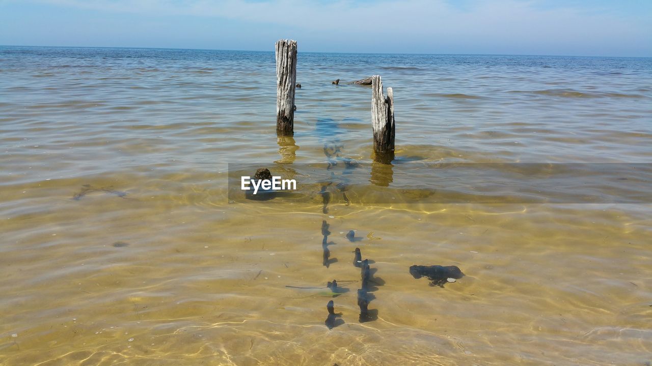 Broken wooden post in lake