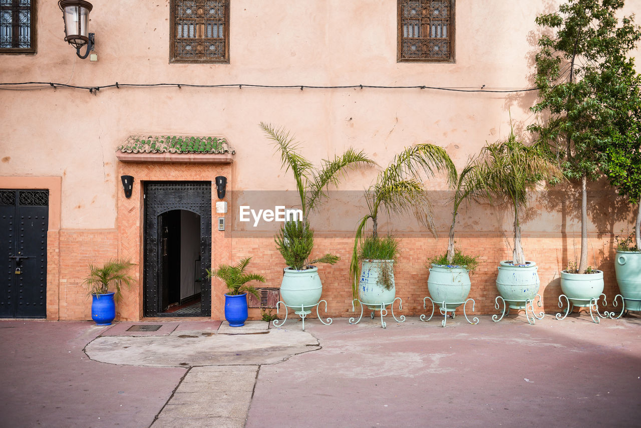 POTTED PLANTS ON BUILDING