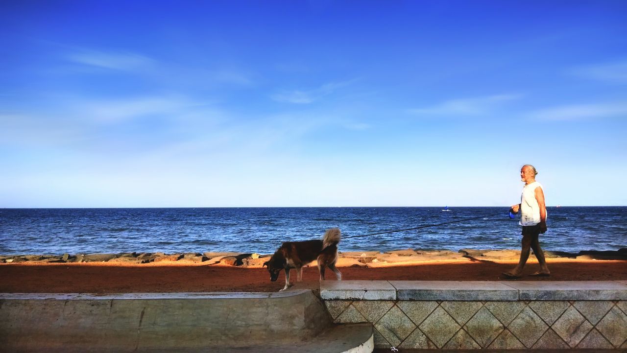 Man with dog walking against sea