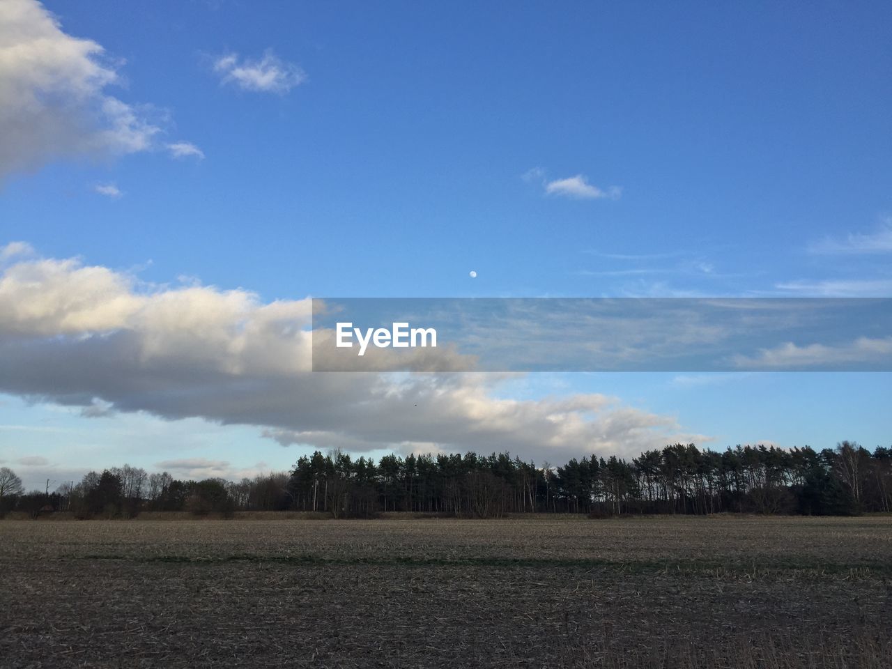 TREES ON FIELD AGAINST CLOUDY SKY