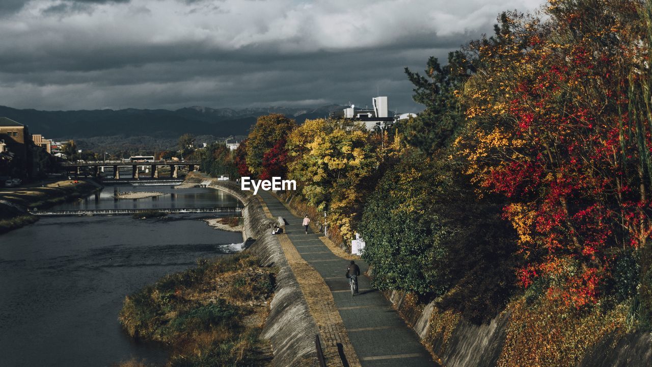 Trees and plants in city against sky during autumn