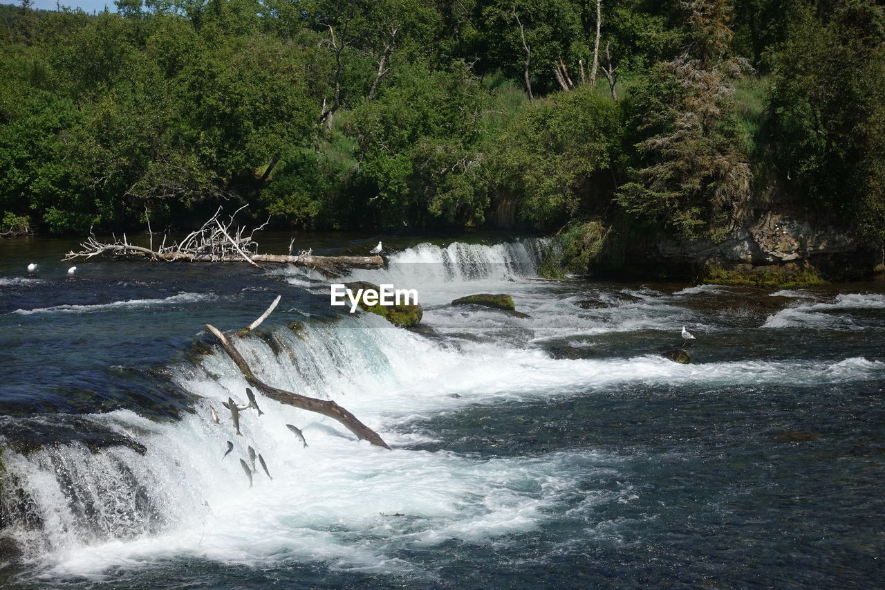 SCENIC VIEW OF WATERFALL