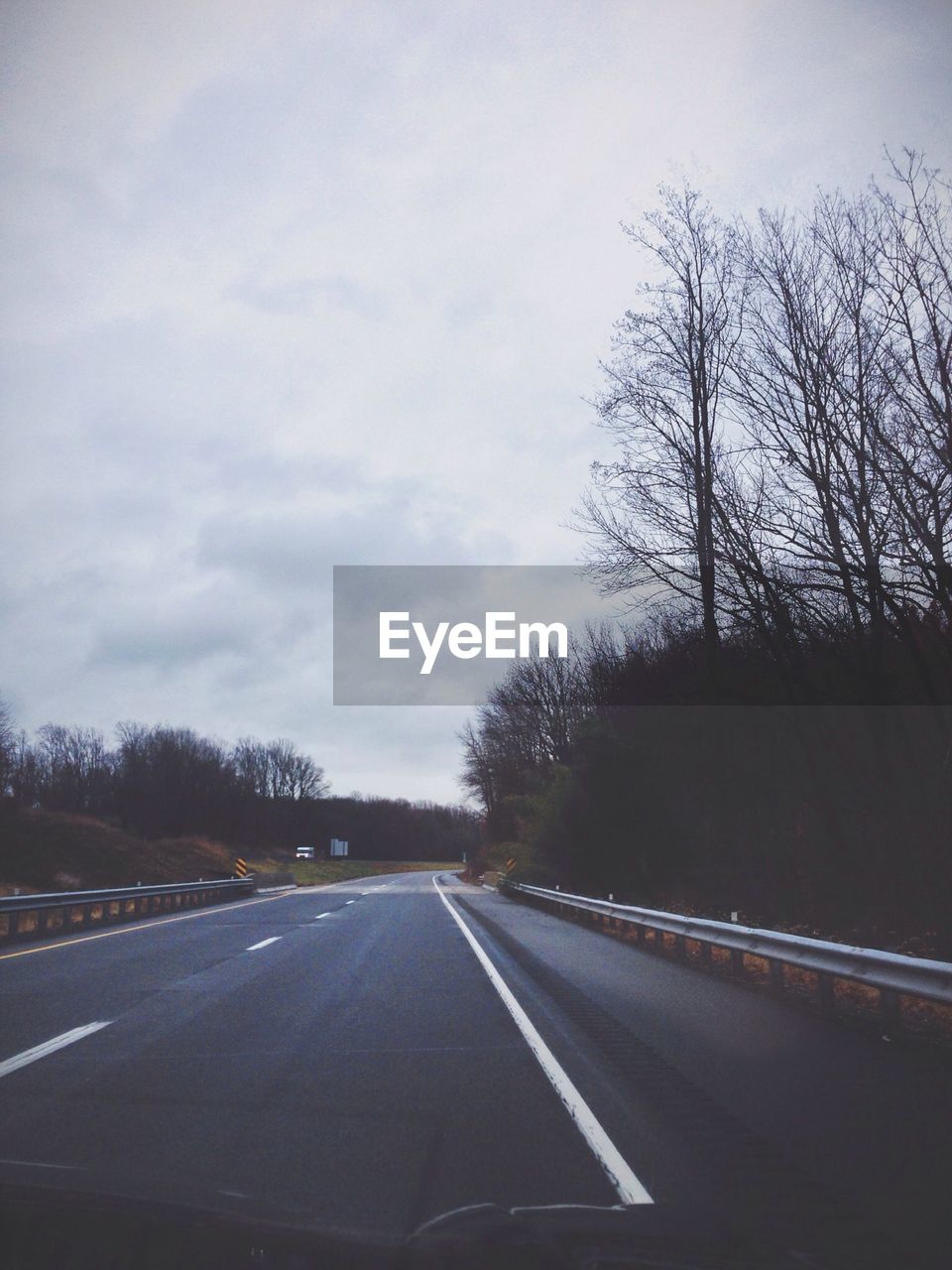 Empty road in forest