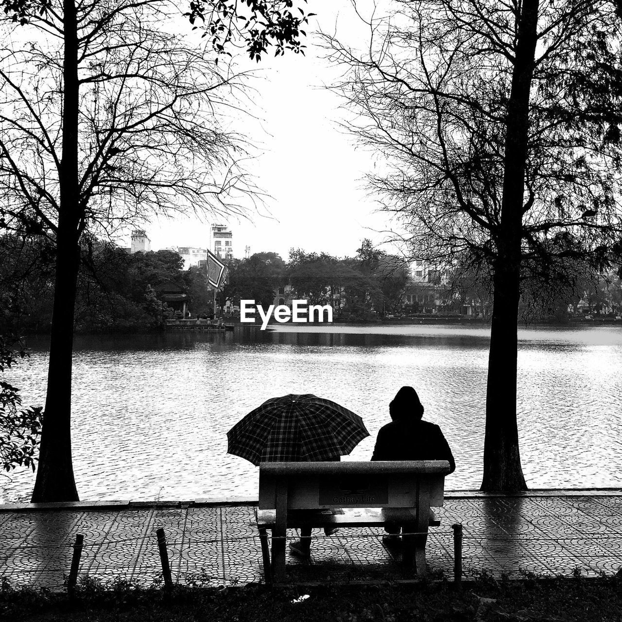 Rear view of two people sitting on bench