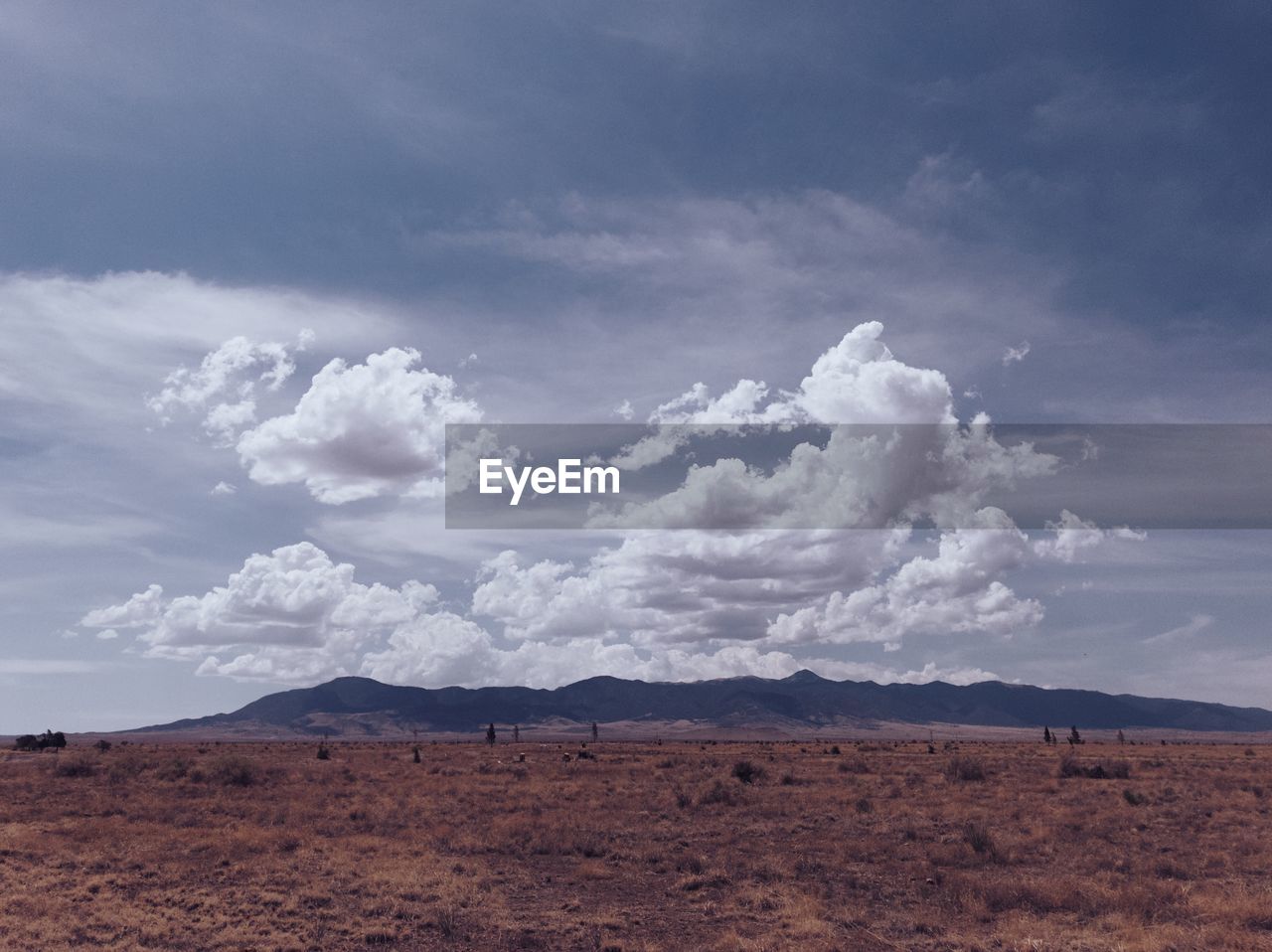 SCENIC VIEW OF LAND AGAINST SKY ON FIELD