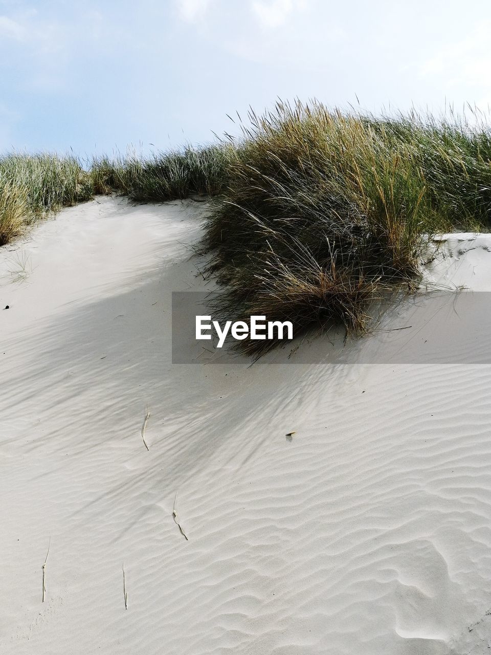 HIGH ANGLE VIEW OF SAND ON BEACH