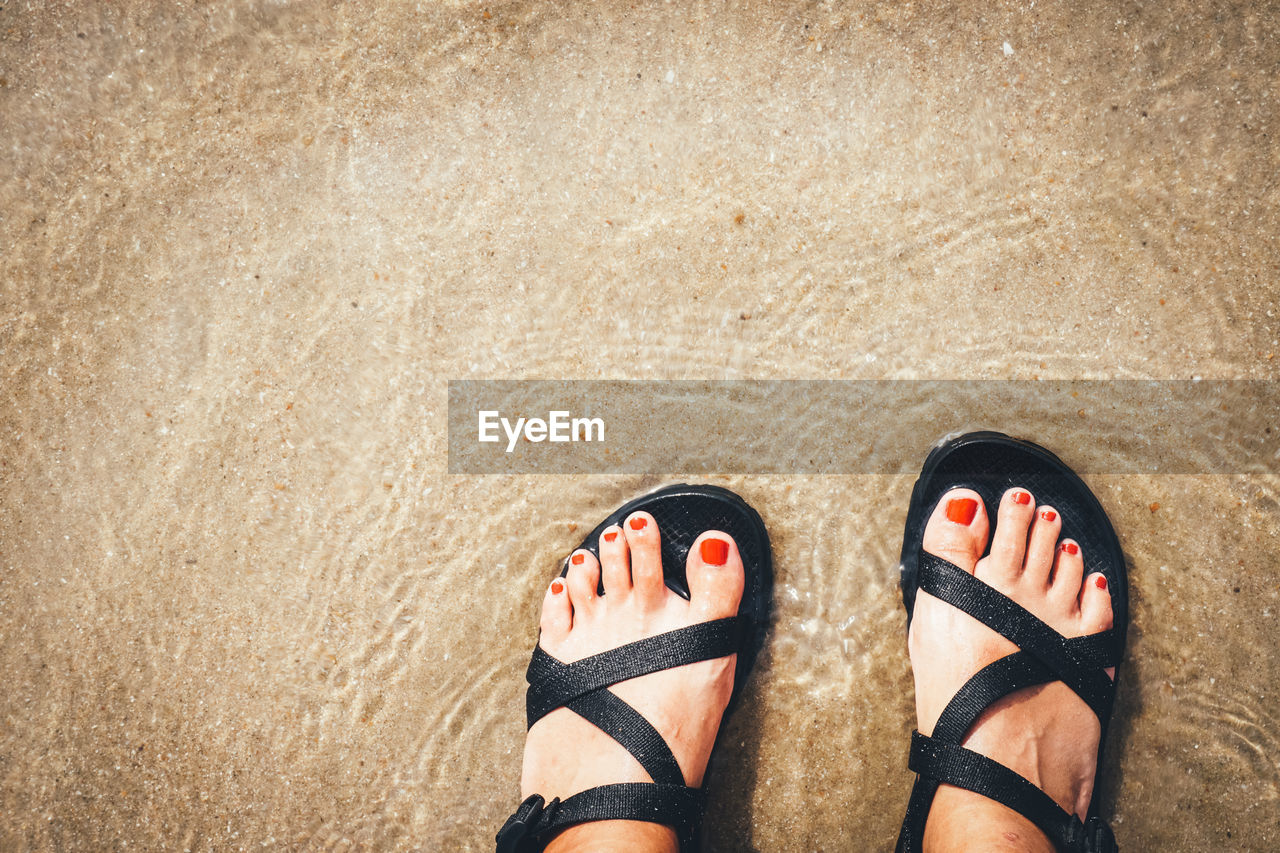 Low section of woman standing at beach