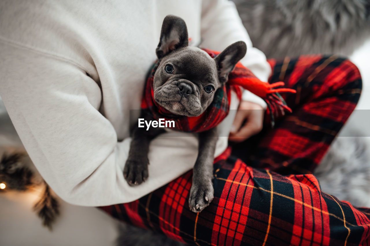 midsection of woman holding dog at home