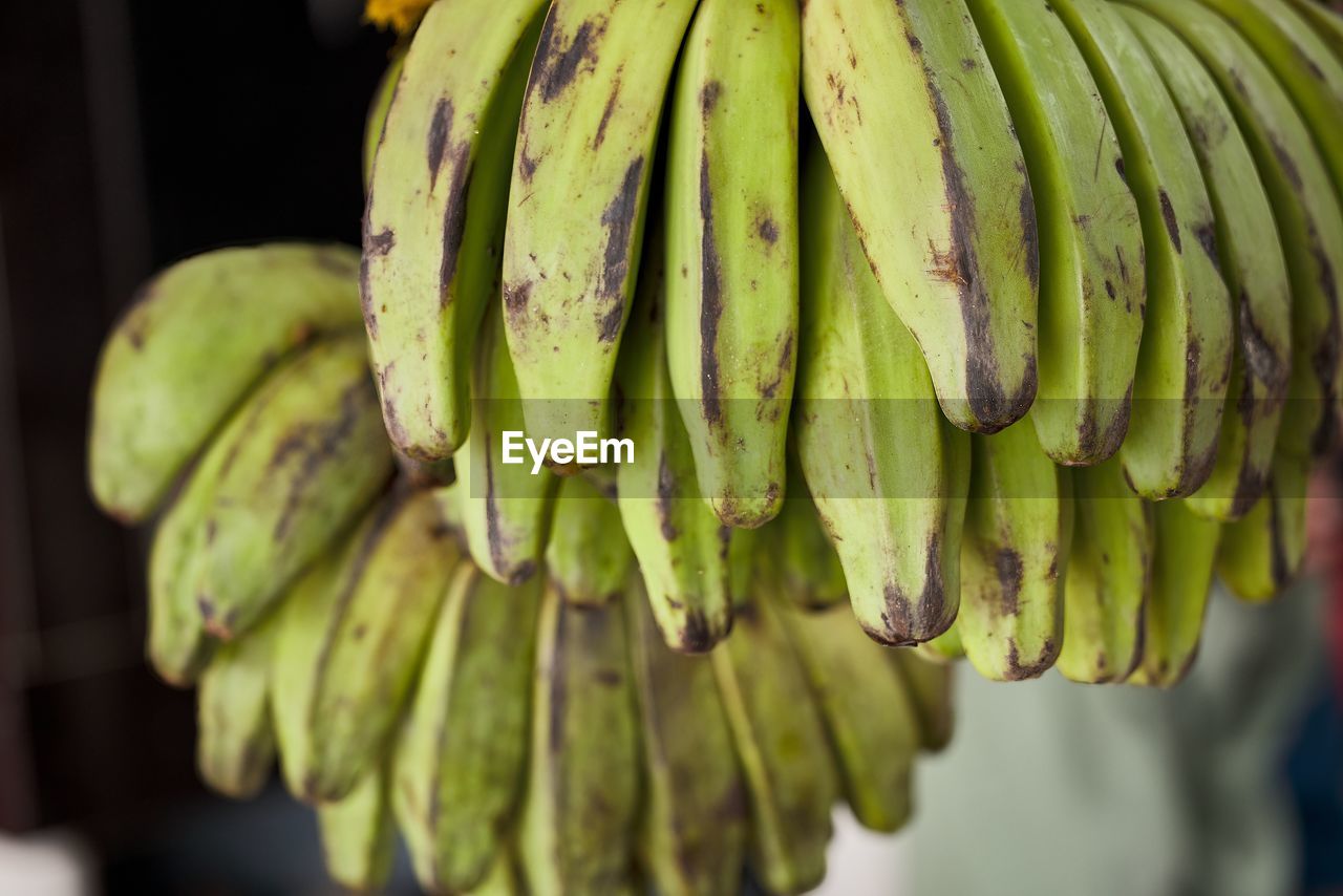 Ripe green banana still life