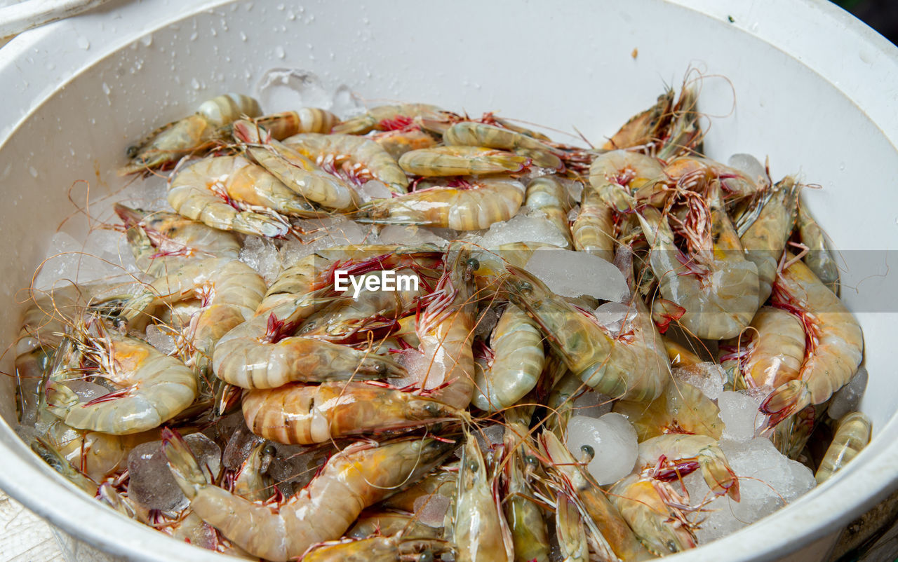 food, food and drink, seafood, freshness, healthy eating, wellbeing, crustacean, dish, fish, shrimp, animal, no people, high angle view, prawn, fishing, close-up, cuisine, raw food, seafood boil, crab, fishing industry, still life, indoors, meat